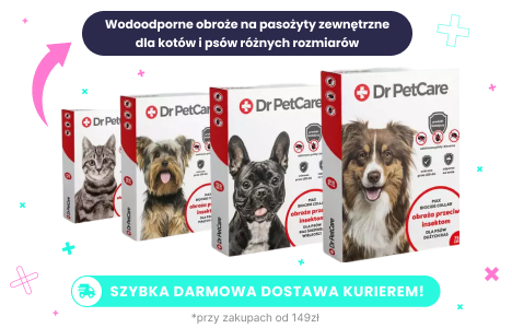 Dr PetCare