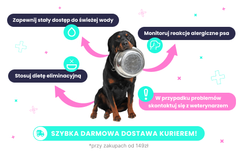 Karma monobiałkowa dla psa