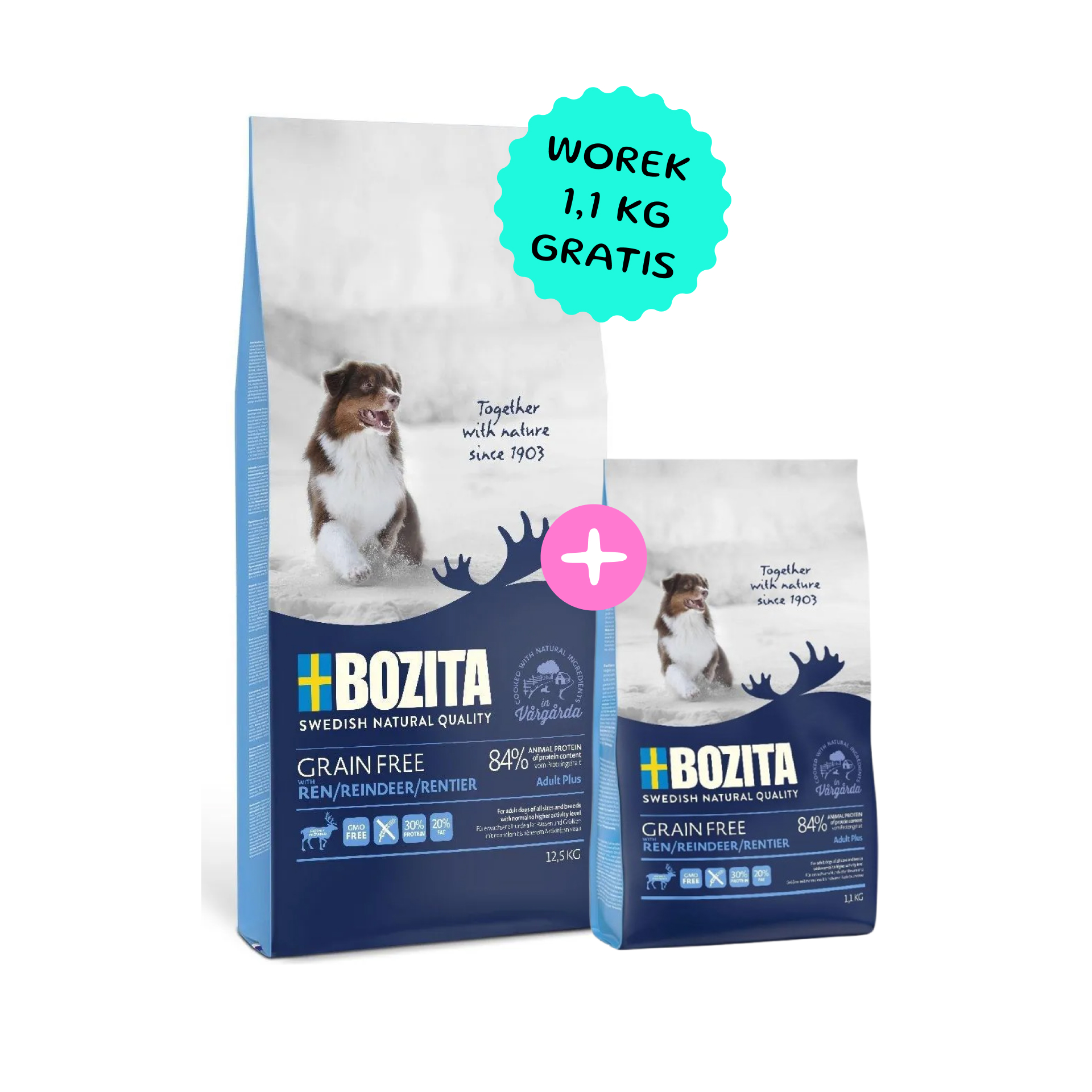 Bozita Dog Grain Free Adult Plus z reniferem 12,5kg