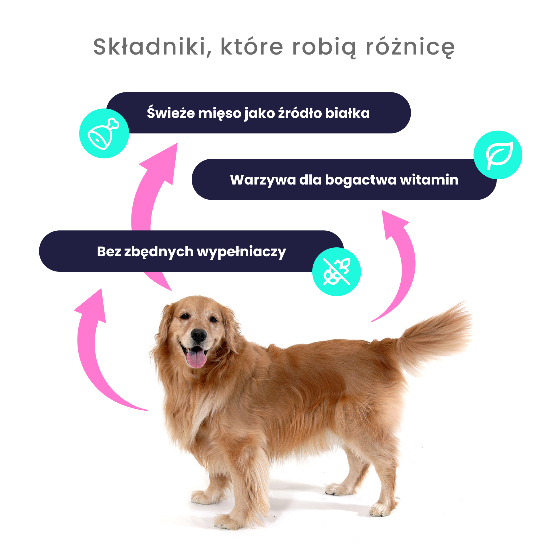 NOWOŚĆ: O'Canis sucha karma premium dla psa z jeleniem, prosem, czerwonym burakiem i jabłkiem 6kg - alternatywa dla karm pieczonych