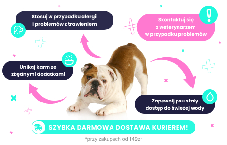 Karma bezzbożowa dla psa
