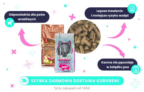 Karma tłoczona na zimno dla psa