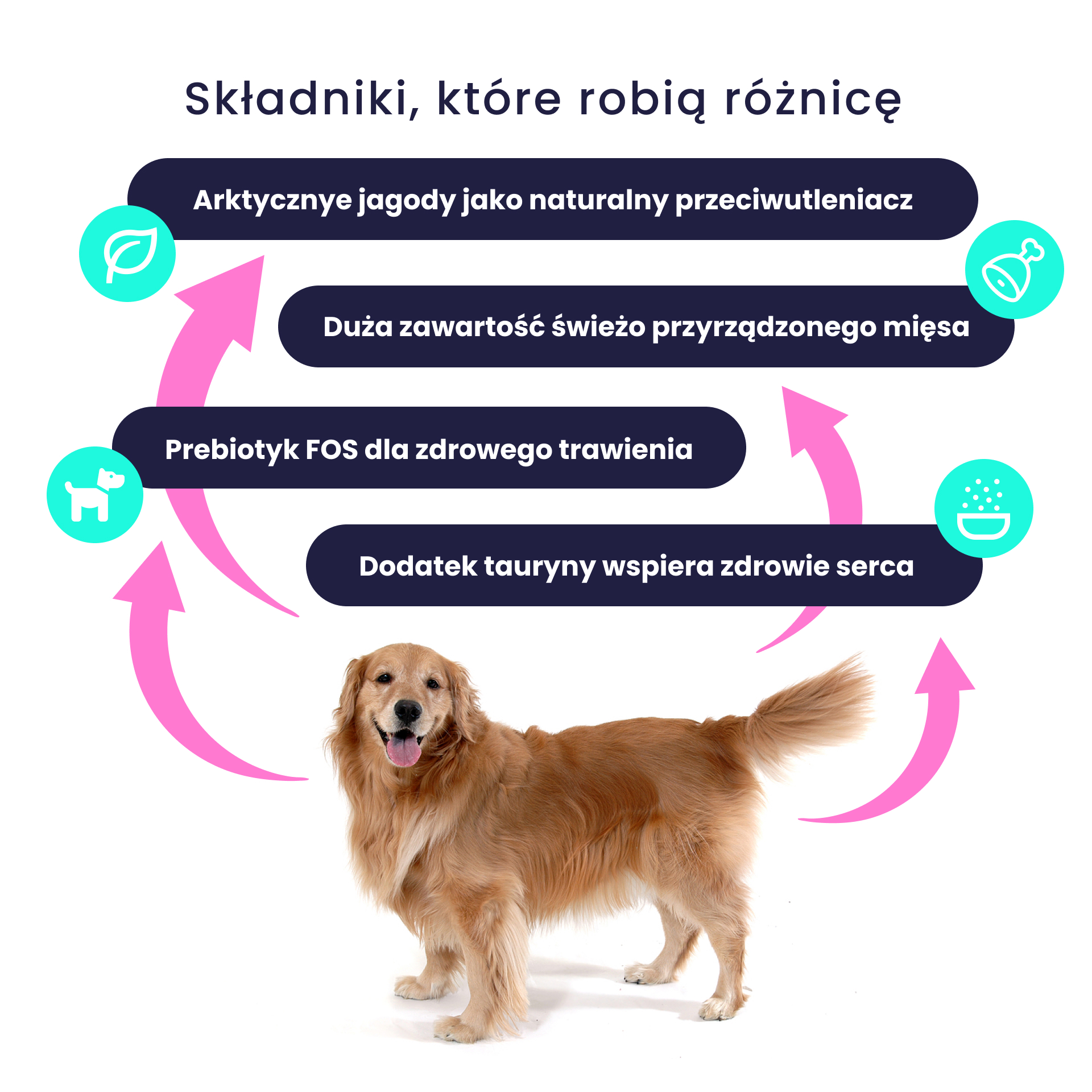 Bozita Purely Adult lamb bezzbożowa karma dla psa z jagnięciną 11kg Single Protein lamb