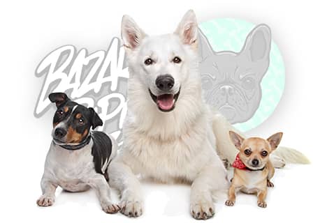 Legowiska i maty dla psa