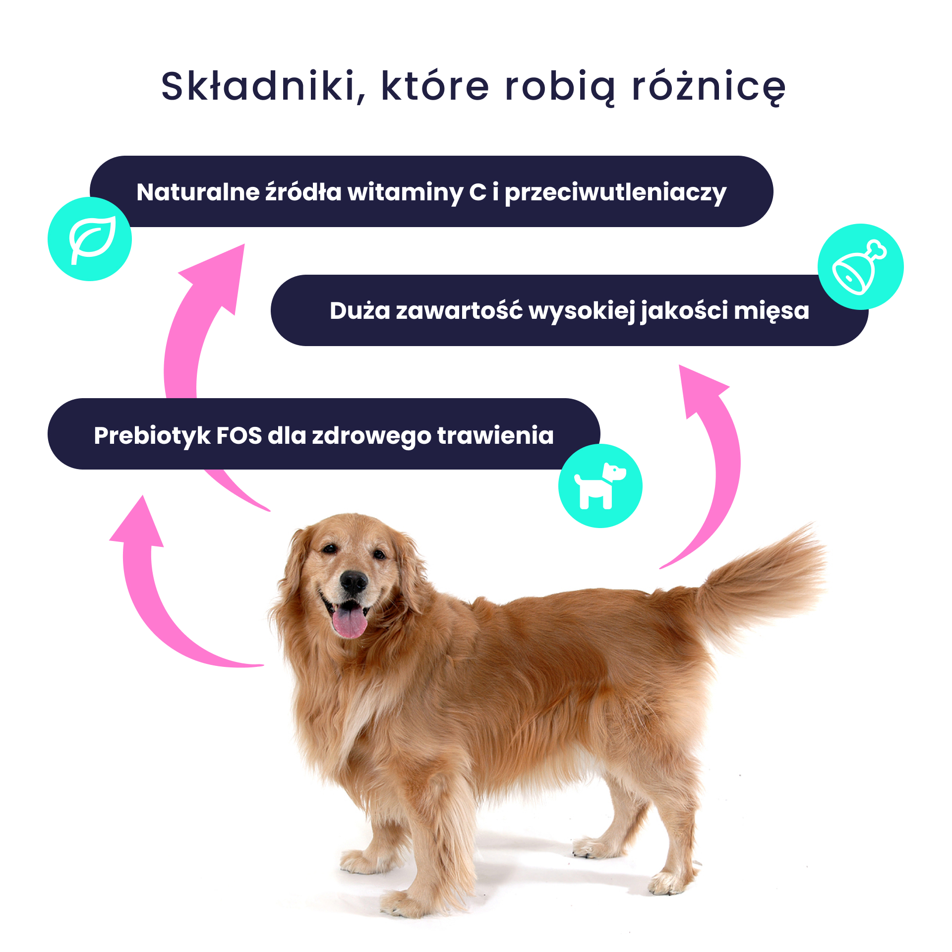 BOZITA Purely Paté pasztecik dla psa z kurczakiem i dziczyzną Tetra Recart 370g