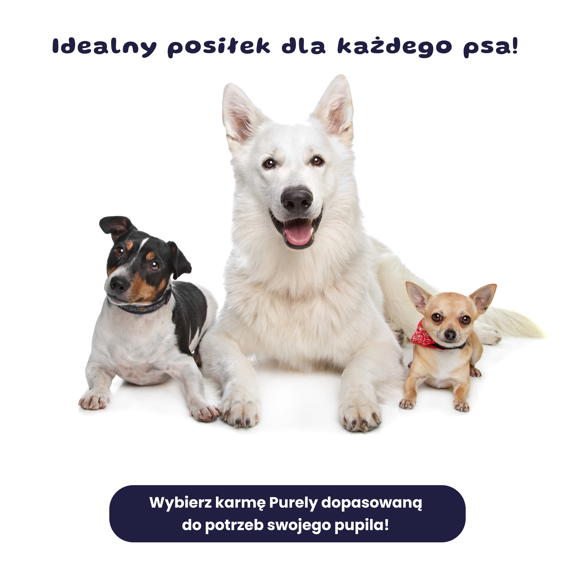 BOZITA Purely Paté pasztecik dla psa z kurczakiem i dziczyzną Tetra Recart 370g
