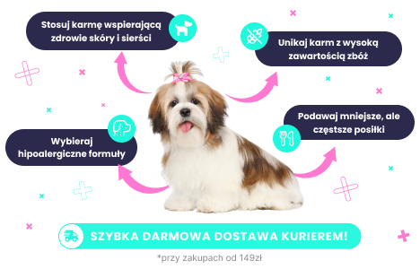 Karma dla shih tzu