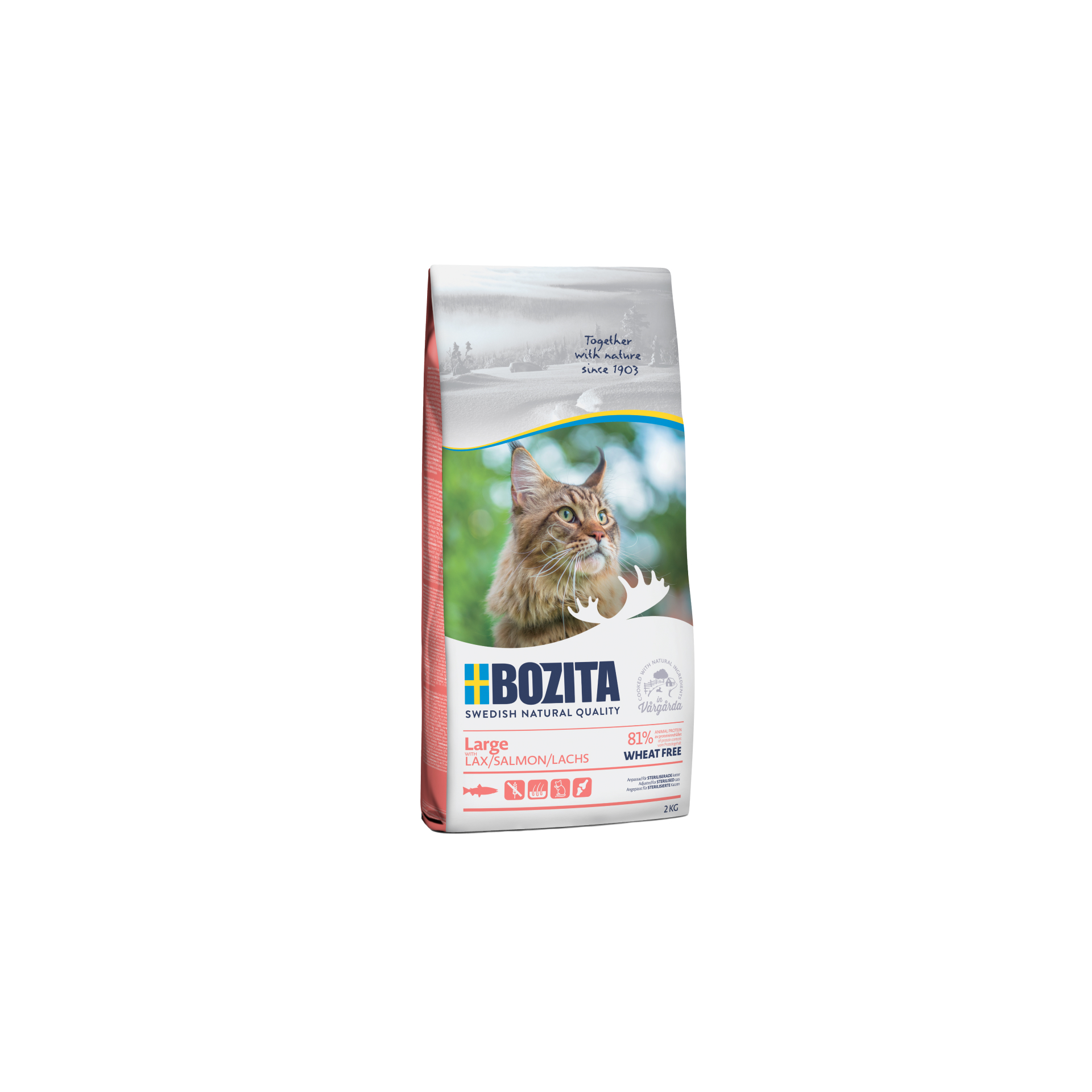 BOZITA Cat Large Grain Free z łososiem 2kg